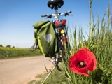 Vegan Radfahren