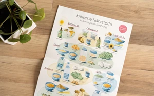 © vegan.at Poster: Kritische Nährstoffe