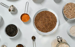 © vegan.at Fleisch- und Milchalternativen unter der Lupe: Vorteile für Umwelt, Ernährung und Gesundheit, Verbesserungspotenzial beim Preis