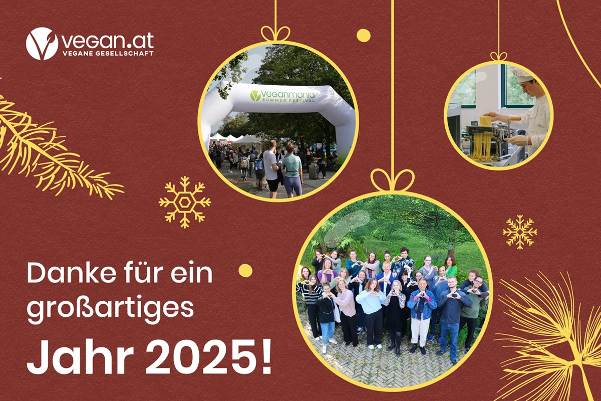 jahresrueckblick_2025_web.jpg